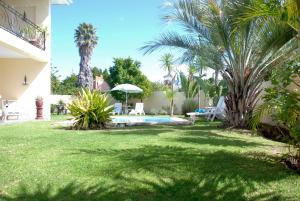 普利登堡湾曼德勒普利登堡湾酒店的一个带游泳池和棕榈树的庭院