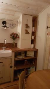 法弗舍姆The Shepherds Snug的厨房配有水槽和带架子的台面