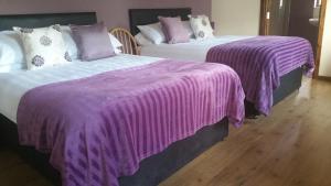 巴利卡斯尔马格纳哈尔之家住宿加早餐旅馆的客房内的两张床和紫色毯子