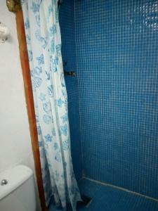 普里埃格·德·科尔多巴Alojamiento rural El Batán的蓝色瓷砖浴室配有淋浴和卫生间。