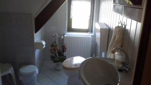 奥茨塞巴德·迪尔哈根Ferienwohnung in Boddennähe的一间带水槽和卫生间的浴室以及窗户。