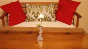 马尔帕尔蒂达德卡塞雷斯卡萨乡间玛丽亚旅馆的一张长凳,上面有两个红色的枕头,上面有花