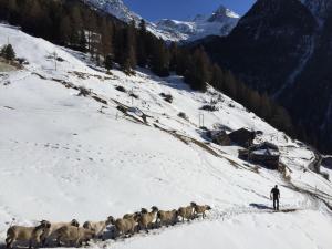 冬天的Panorama - beautiful place in nature