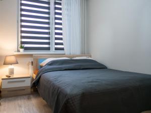 比亚韦斯托克Żabia Flat的一间卧室设有一张大床和一个窗户。