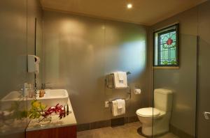 Awa-iti阿瓦罗瓦度假村的一间带卫生间、水槽和窗户的浴室