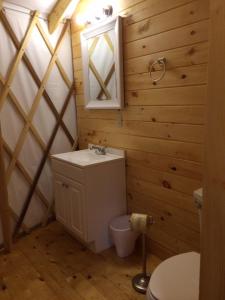 兰开斯特Circle M Camping Resort 24 ft. Yurt 2的一间带卫生间、水槽和镜子的浴室