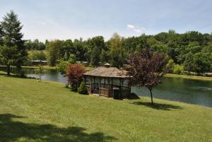 LenhartsvilleRobin Hill Camping Resort Premium Cottage 9的湖畔草地上的凉亭