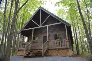 ShartlesvilleAppalachian Camping Resort Log Home 6的树林中间的小小屋