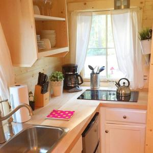 莱文沃思Leavenworth Camping Resort Tiny House Hanna的一个带水槽和窗户的小厨房