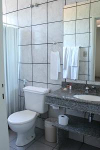César de PinaHotel Fazenda Bela Vista的一间带卫生间、水槽和镜子的浴室