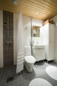罗瓦涅米Arctic Railway City Suite的浴室配有卫生间、淋浴和盥洗盆。