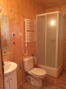 佩拉布若瓦Casa Rural Cuesta Grande的浴室配有卫生间、淋浴和盥洗盆。