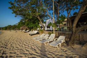 蓬塔露奇亚Paradise Island Beach Resort的海滩上一排躺椅