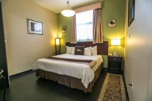 布鲁克林特广场酒店的酒店客房设有一张大床和窗户