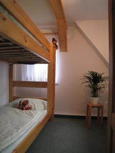 HermsdorfKammbaude的一间卧室配有双层床,床上配有泰迪熊