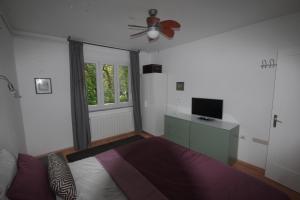 萨格勒布Jazzy Apartment Zagreb的一间卧室配有一张床和吊扇