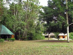 LacanjáCampamento Rio Lacanja的树丛中小屋