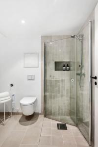 奥斯陆Frogner House - Grünerløkka的一间带卫生间和玻璃淋浴间的浴室