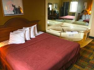 利沃尼亚利沃尼亚/底特律美国最有价值旅馆的酒店客房设有一张床和一面大镜子