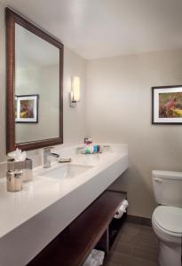 凤凰城Crowne Plaza Phoenix Airport - PHX, an IHG Hotel的一间带水槽、卫生间和镜子的浴室