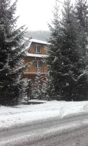 皮夫尼奇纳Helena的雪中的房子,前面有树木