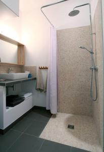 巴黎第五庭院住宿加早餐旅馆的带淋浴和盥洗盆的浴室
