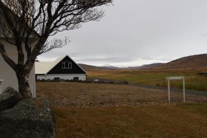 雷克霍特Guesthouse Steindórsstadir, West Iceland的树田中的黑白谷仓