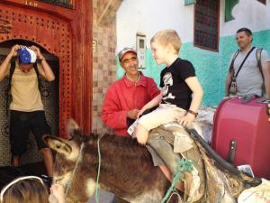 穆莱伊德里斯阿尔安达罗西亚迪亚法酒店的坐在驴背上的男孩