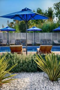 特劳洛斯Hotel Korali的游泳池旁带椅子和蓝伞的天井