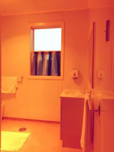 OtautauOtautau Hotel的一间带水槽和窗户的浴室