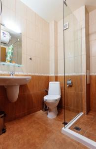 普罗夫迪夫布莱特豪斯宾馆的一间带卫生间和水槽的浴室