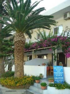 普拉基亚斯Skinos Apartments的一座带标志的建筑前的棕榈树