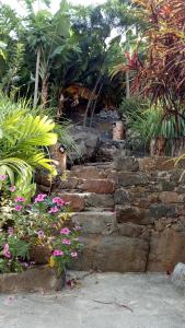 PaulCasa Das Ilhas的花卉园内一套石头台阶