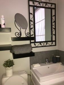 布鲁塞尔Petit Appartement Jourdan EU的浴室设有卫生间、镜子和水槽