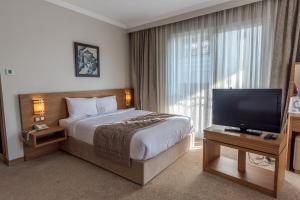 Duzce埃尔米纳公园酒店的配有一张床和一台平面电视的酒店客房