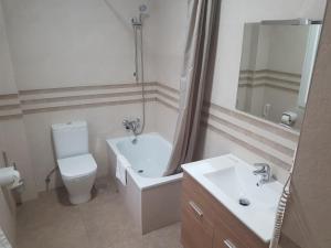 桑坦德麦哲伦酒店的一间带卫生间、水槽和镜子的浴室