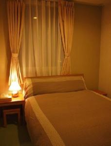 阿苏市阿苏巴瑟背包客酒店的一间卧室配有一张床和一扇带灯的窗户