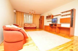 基辅左岸日间公寓的带沙发和电视的客厅
