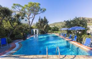 伊斯基亚维多利亚酒店的一个带蓝色椅子和遮阳伞的游泳池