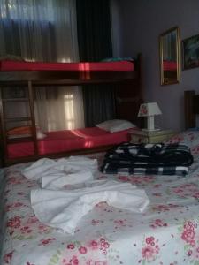 AlbuquerqueSítio Canoas的一间卧室配有两张双层床,床上配有毛巾