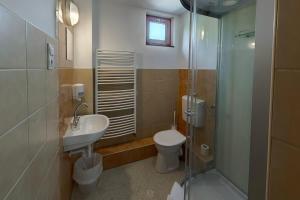 布达佩斯坎平恩&文迪嘉斯宾馆的浴室配有卫生间、盥洗盆和淋浴。