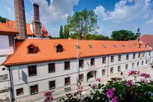 布拉格达尔文酒店及餐厅的一座古老的建筑,有橙色的屋顶和粉红色的花朵