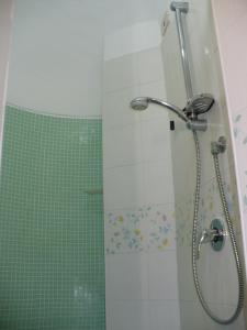 普罗奇达萨沃伊亚酒店的带淋浴的浴室和玻璃门