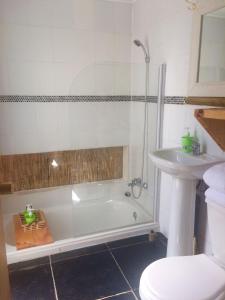 维库尼亚Organica Lodge Spa的带浴缸、盥洗盆和卫生间的浴室