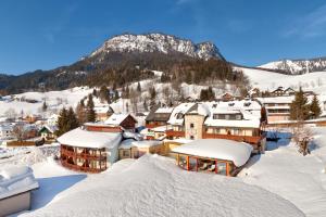 陶普利茨德赫赤尔酒店的一座被雪覆盖的小镇,背景是一座山