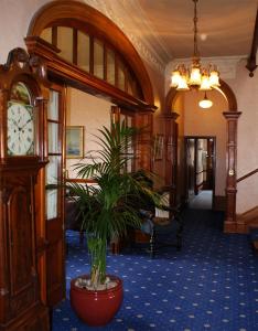 福里斯拉姆尼酒店的一间有祖父钟和盆栽的房间