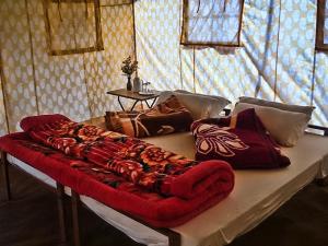 列城Mulkila Adventure Camp的客厅配有带枕头的沙发。