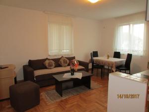 弗尔尼亚奇卡矿泉镇Debora Apartment的客厅配有沙发和桌子