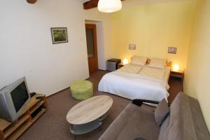 多玛泽里塞法墨立酒店的一间卧室配有一张床、一台电视和一张沙发