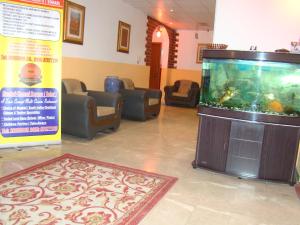 索哈尔阿特拉斯酒店公寓 的一间房间里带大鱼缸的等候室